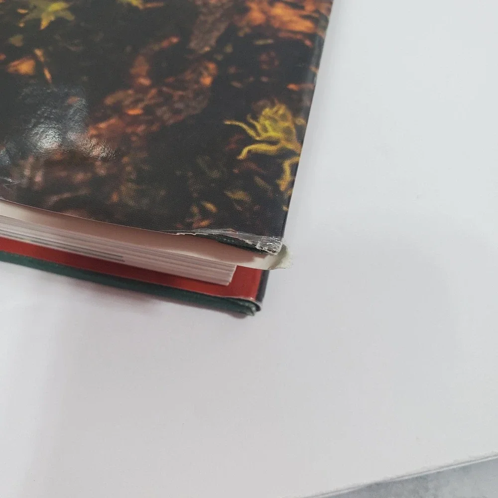 Growing Carnivorous Plants Book Barry Rice Hardcover Timer Press